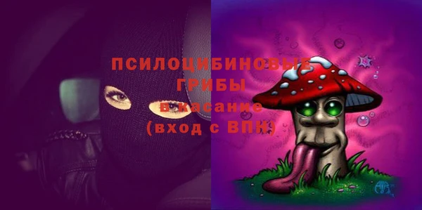 дурь Новозыбков