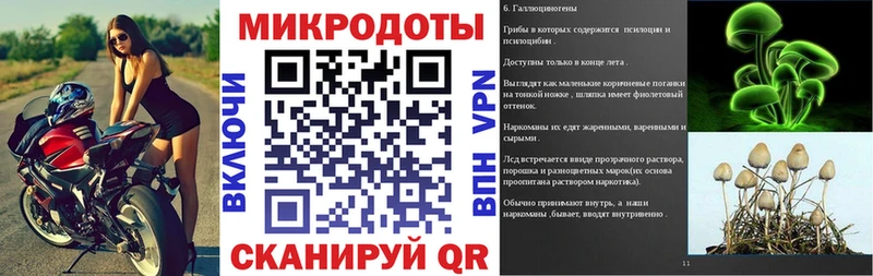 darknet наркотические препараты  Кохма  Галлюциногенные грибы мицелий  hydra tor 