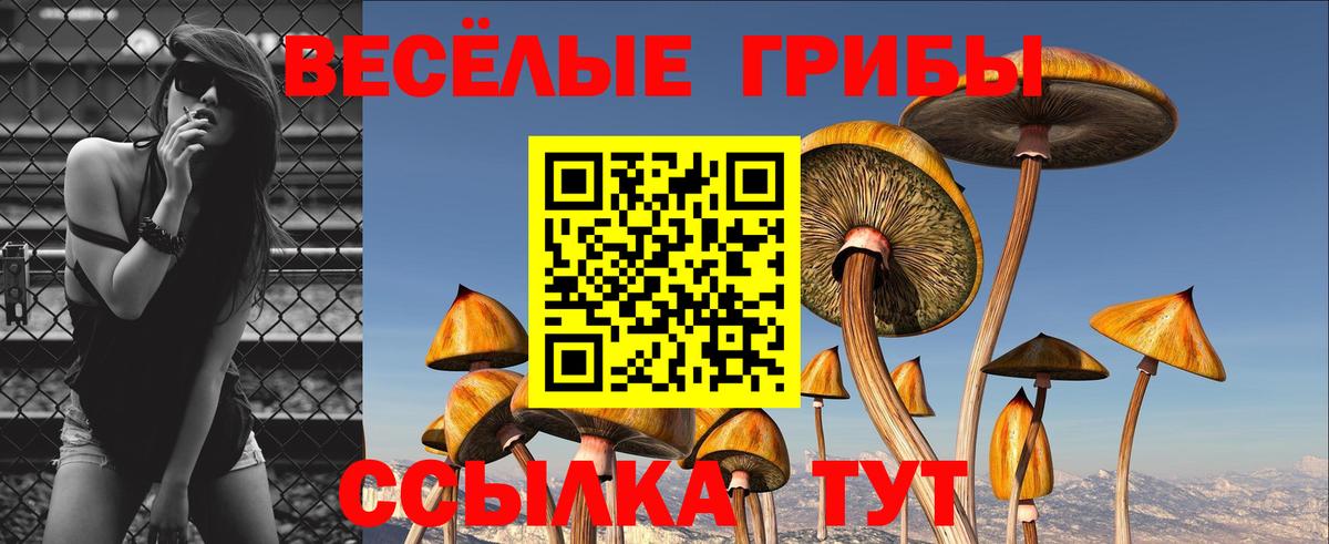 Галлюциногенные грибы Psilocybine cubensis Кохма