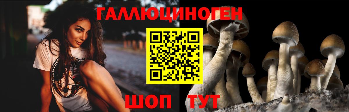Галлюциногенные грибы мицелий  Вход с VPN  Кохма  Галлюциногенные грибы Cubensis 